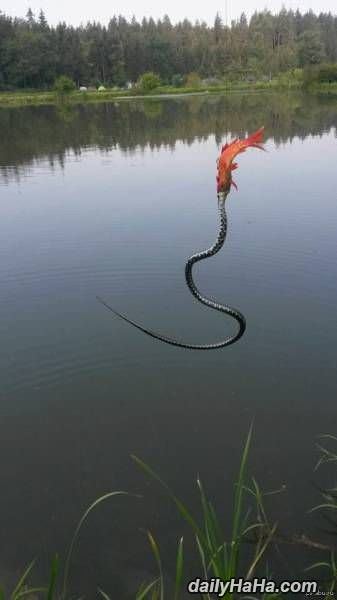 going fishing funny picture