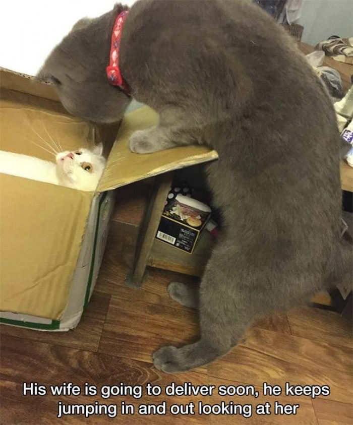 going to deliver soon funny picture