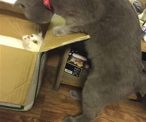 going to deliver soon funny picture