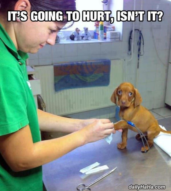 going to hurt funny picture
