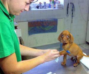 going to hurt funny picture