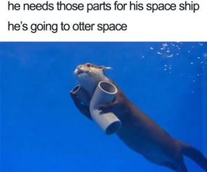 going to otter space funny picture