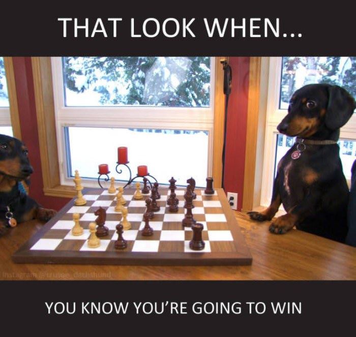 going to win funny picture