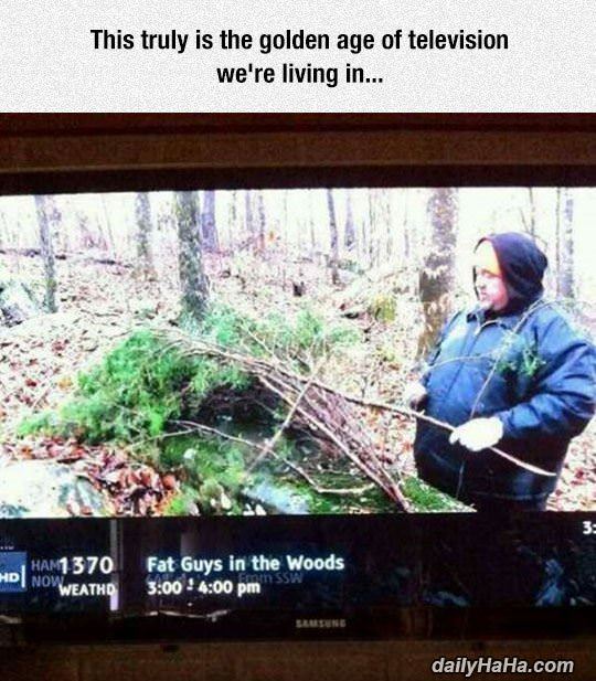 golden age of television funny picture