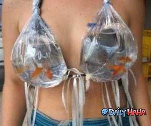 goldfish bra