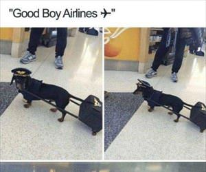 good boy airlines