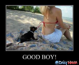 Good Boy funny picture