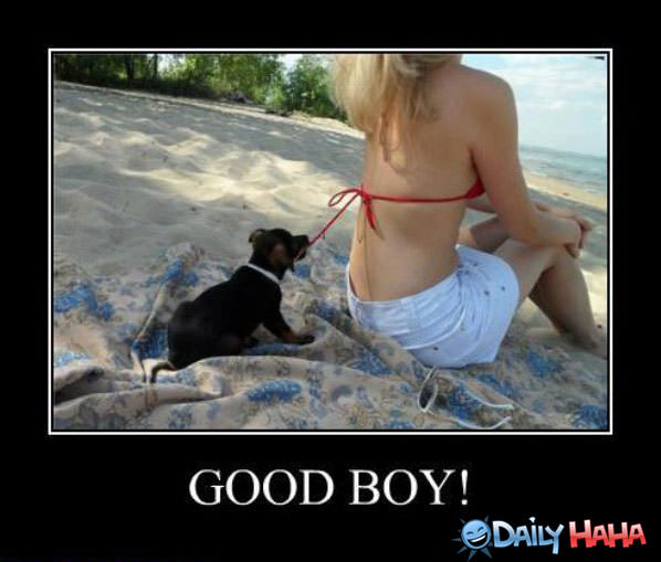 Good Boy funny picture