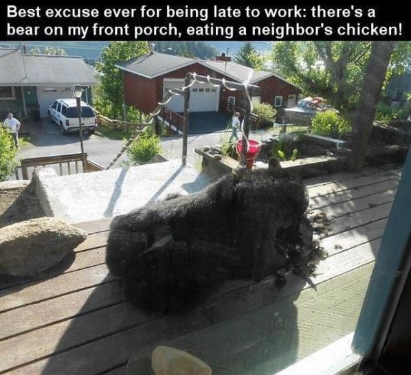 Good Work Excuse funny picture