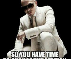Goodguy Pittbull funny picure