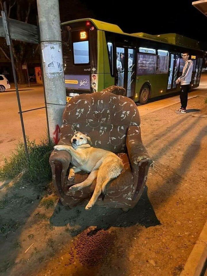 good place for a nap ... 2