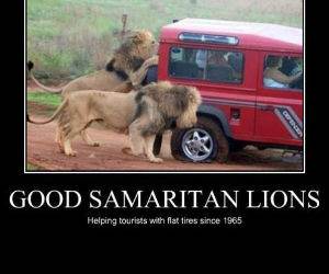Good Samaritans funny picture