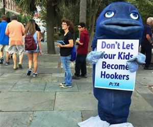 good advice funny picture