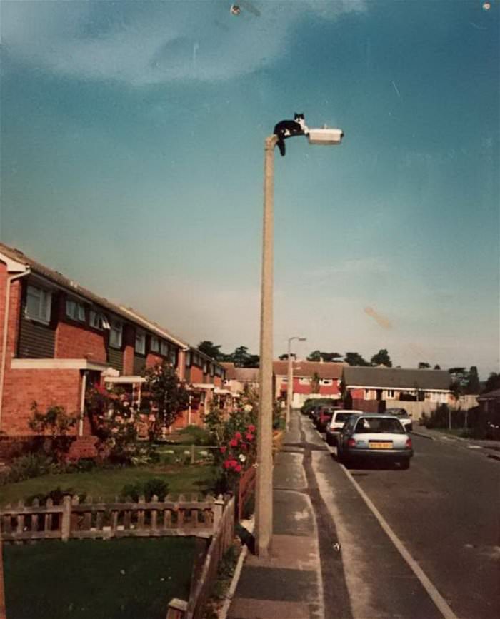 got a good view up here