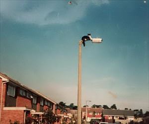 got a good view up here