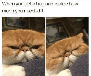 got a hug