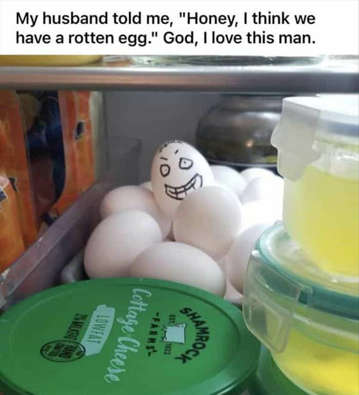 got a rotten egg