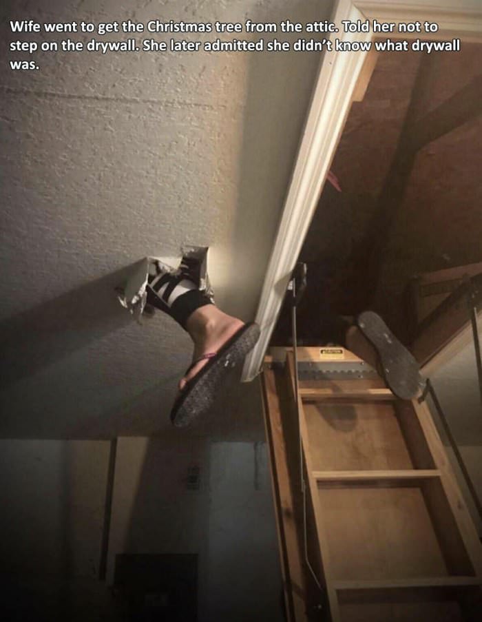 got the christmas tree