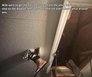 got the christmas tree