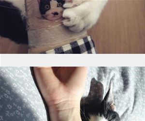 got a tattoo of my best friend funny picture