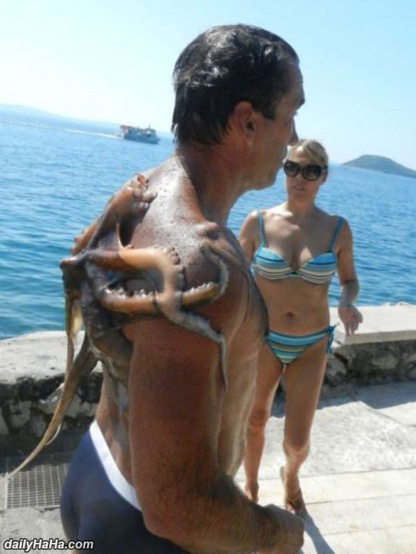 got something on your back funny picture