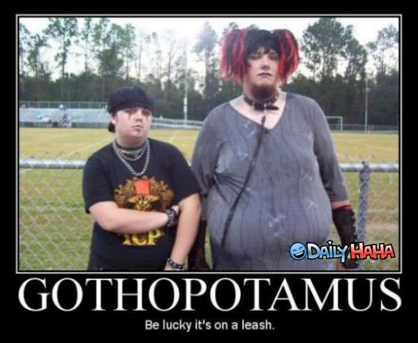 Gothopotamus Funny Picture