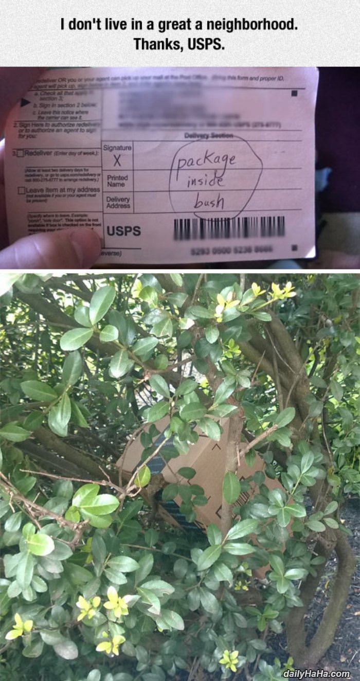 great neighborhood funny picture