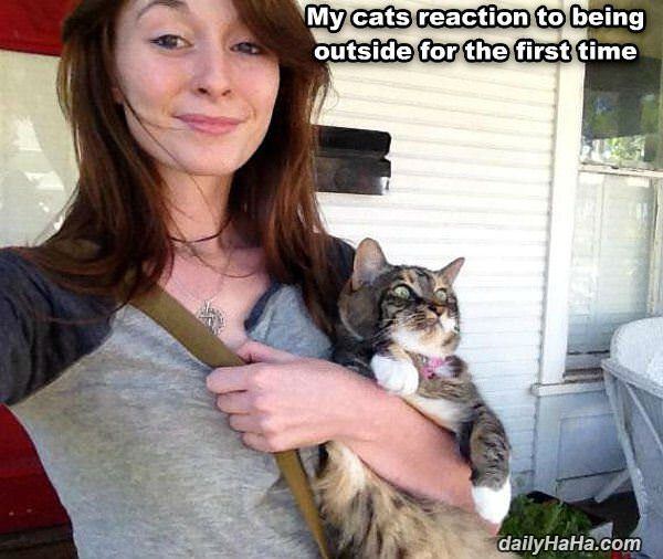 great reaction funny picture