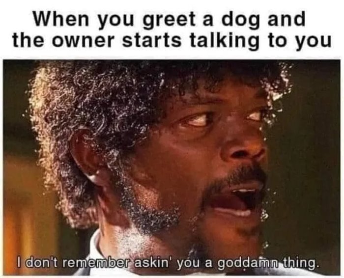 greeting a dog