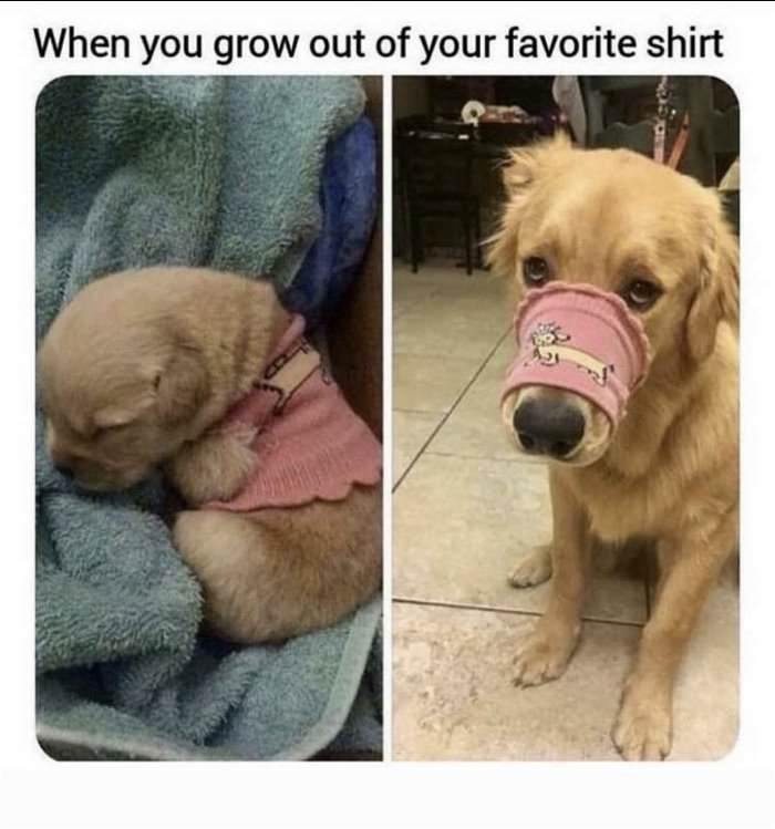 grow out of your favorite shirt