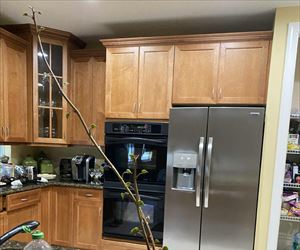 growing new potatoes