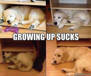 growing up sucks funny picture