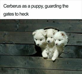 guarding the gates