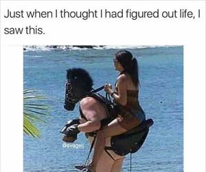 had it all figured out