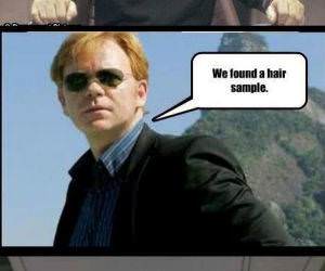Hair Sample funny picture