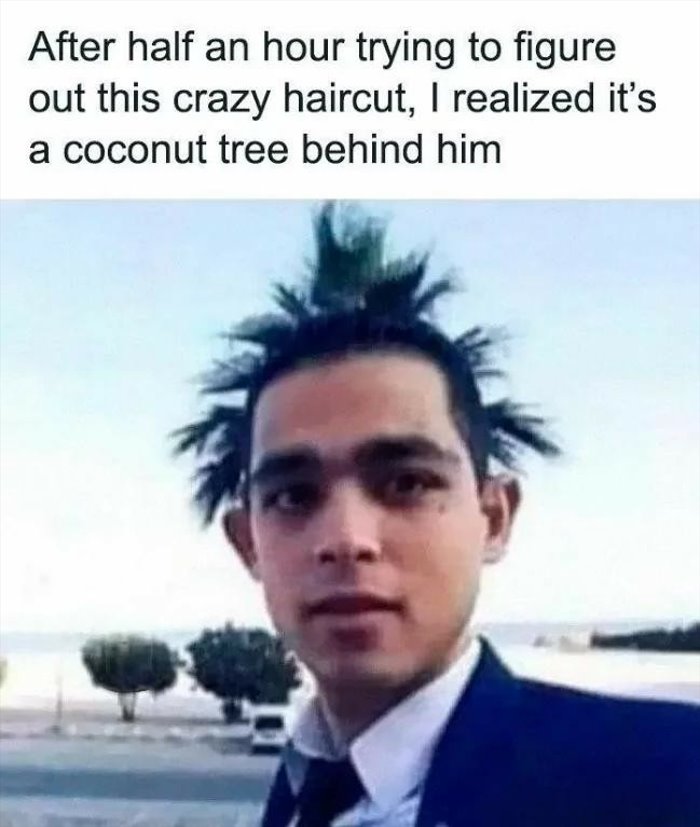 haircut