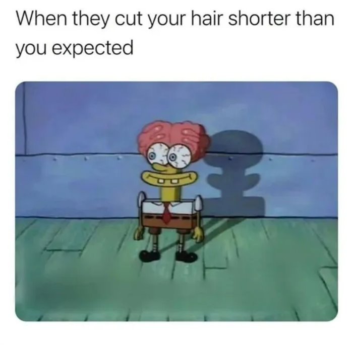 haircut ... 2