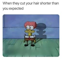 haircut ... 2