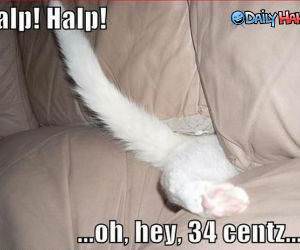 Halp Halp funny picture