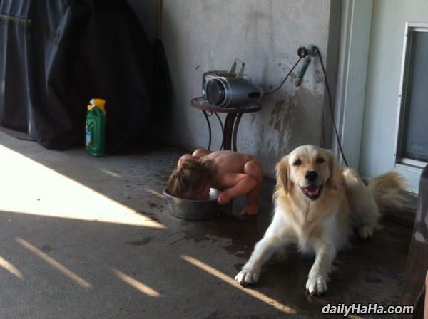 hanging out with the dog funny picture