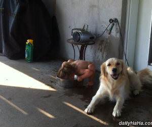 hanging out with the dog funny picture