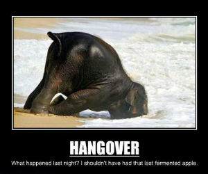 Hangovers funny picture