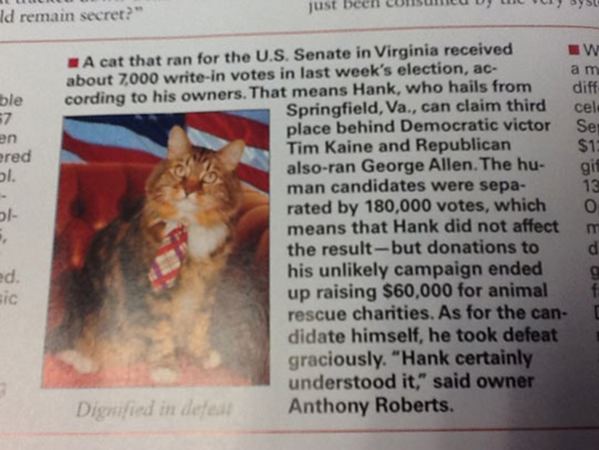 Hank For Senate funny picture