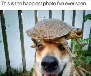 happiest photo i have ever seen