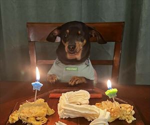 happy birthday to you ... 2