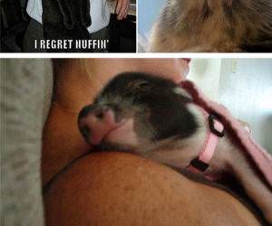 happy animals funny picture