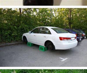 happy monday funny picture