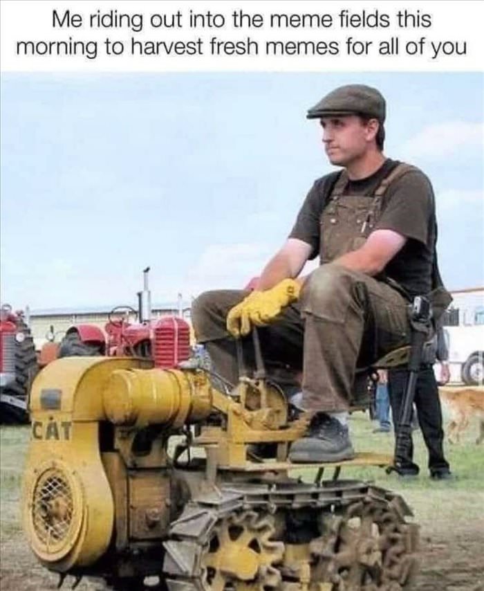 harvesting some fresh memes