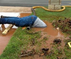 has to be down here somewhere funny picture