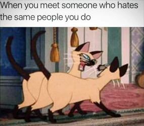 hate the same people
